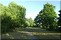 Path in Foot Meadow