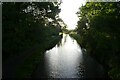 Canal from the bridge