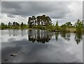 NX7078 : Knowetop Lochs Nature Reserve by Colin Kinnear
