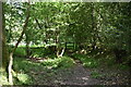 Footpath to Londonderry Farm