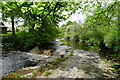 The River Wear at Pennine Lodge