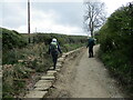 Stone  trod  at  track  edge  toward  Green  End