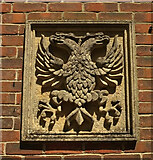 ST7734 : Spread eagle carving by Derek Harper