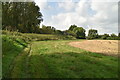 TQ6247 : Medway Valley Walk by N Chadwick
