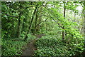 Wandle Meadow Nature Reserve