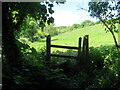 Llwybr ger Pen Ddol / Path near Pen Ddol