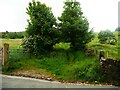 Footpath off Old Lindley Road