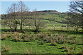 Farmland near Marsh Hall