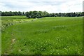 ST5497 : Offa's Dyke Path crossing farmland by Philip Halling
