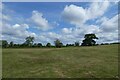 Field in Silverstone