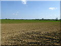 Fields west of Bluegate Hall