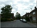 Looking eastwards in Pease Croft