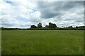 Field near Wappenham Road