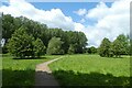 Along a path in Shire Meadow Park