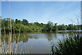 A Lake at Frimley