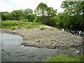 Island in the Allan Water