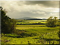 Distant Farmland near Chillingham