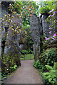 NZ0878 : Quarry Garden, Belsay Hall by habiloid