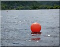 NY2619 : Buoys on Derwentwater by Gerald England