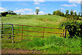 Rusty gate, Lissaneden