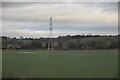 SJ7546 : Pylon in field by N Chadwick
