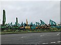 Digger congregation