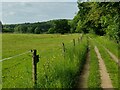 North Worcestershire Path towards Folly Point