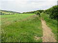 Public bridleway near Abinger Hammer