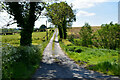 Lane along the North West Trail, Tonnagh More