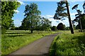 Drive and parkland, Lambourn