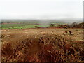 View inland from Carn Ogof