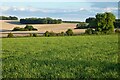 Farmland, Kingston Deverill