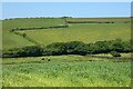 Farmland, St Columb Major