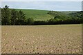 Farmland, St Issey