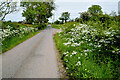 Drumlester Road, Ballintrain