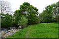 The Weardale Way downstream of Daddry Shield