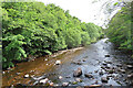 River Nairn at Firhall