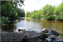 NH8451 : River Nairn by Anne Burgess
