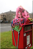 SK3545 : Knitted clanger in Milford by David Howard