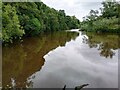 River reflections