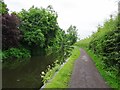 Canal Scene