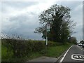 Bus stop by A52 west of Mackworth village