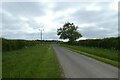 Road south of High Barn Farm