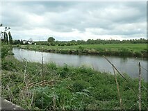 SK4430 : The River Trent at Shardlow by Christine Johnstone