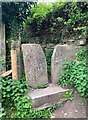 Stone Stile, Cashes Green GS1103