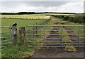 Farm track near Bogside House