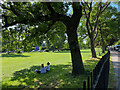 Long Meadow, Gipsy Hill, London