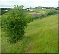 Elland Footpath 73/3 approaching a gateway, Stainland