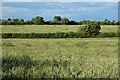 Farmland, White Waltham