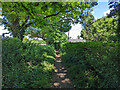 Footpath 321 Charlwood